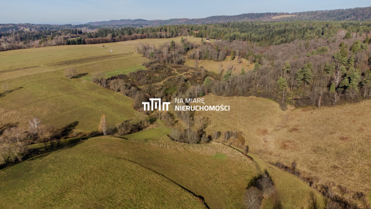 Działka Sprzedaż Czarna Dolna 6