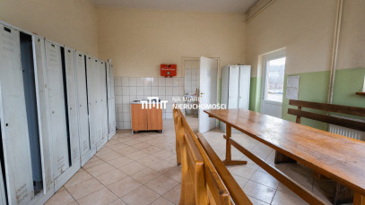 Building Magazyn Dzikowiec Kolbuszowska