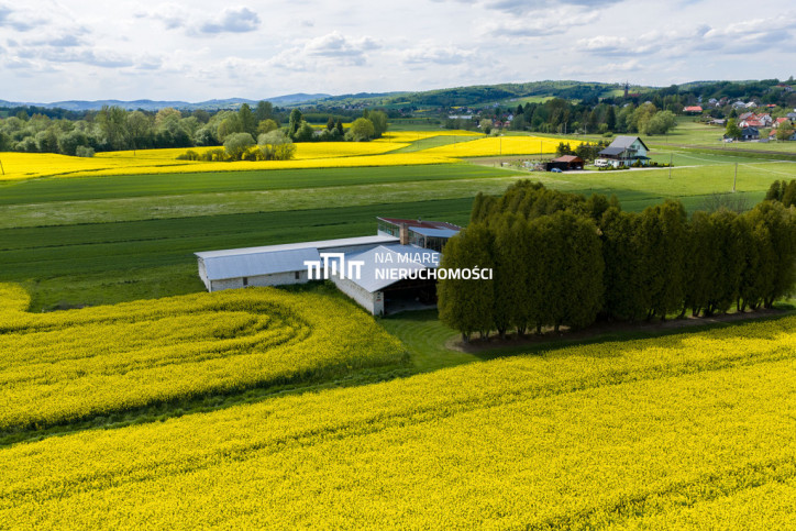 Obiekt Sprzedaż Dobrzechów 3