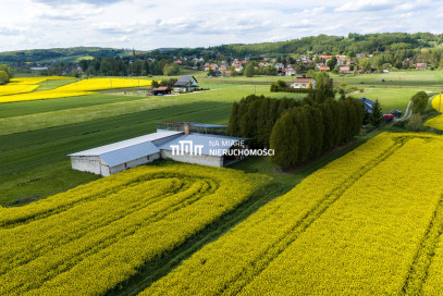 Obiekt Sprzedaż Dobrzechów