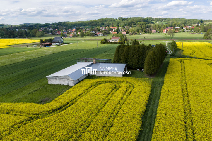 Obiekt Sprzedaż Dobrzechów 5