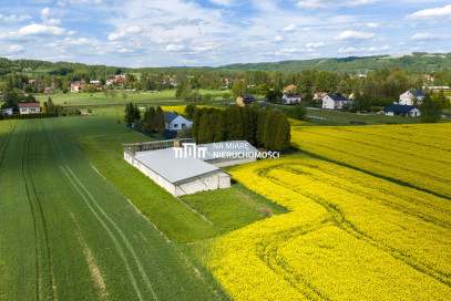 Obiekt Sprzedaż Dobrzechów