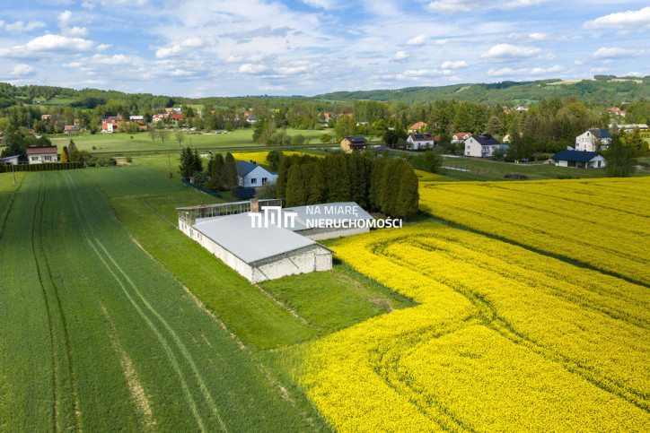Obiekt Sprzedaż Dobrzechów 6