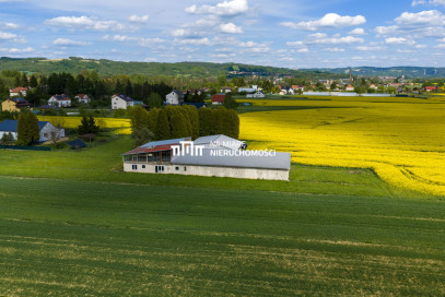 Obiekt Sprzedaż Dobrzechów
