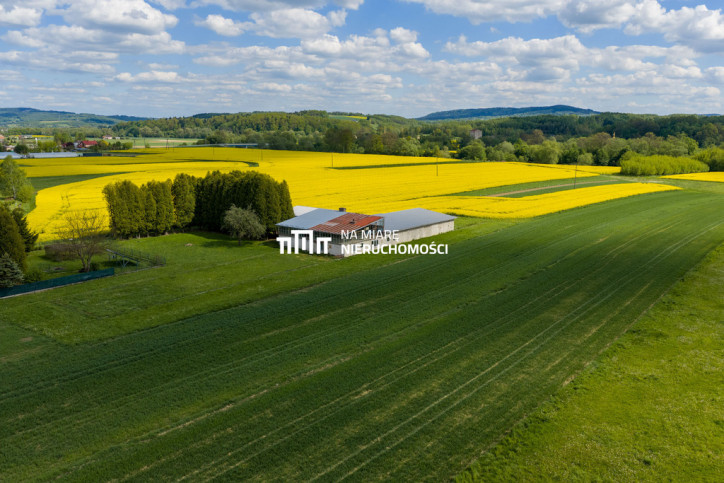 Obiekt Sprzedaż Dobrzechów 8