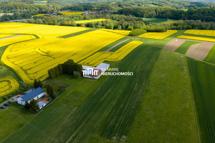 Obiekt Sprzedaż Dobrzechów 10