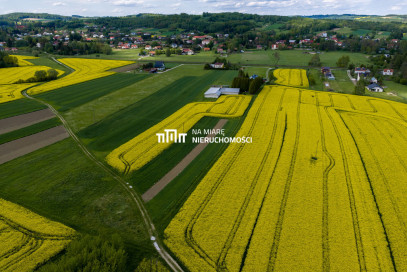 Obiekt Sprzedaż Dobrzechów