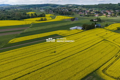 Obiekt Sprzedaż Dobrzechów