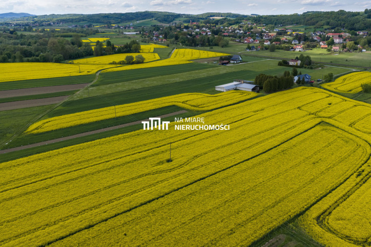 Obiekt Sprzedaż Dobrzechów 12