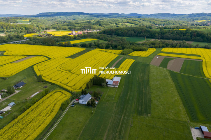 Obiekt Sprzedaż Dobrzechów 13
