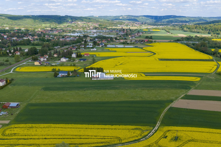 Obiekt Sprzedaż Dobrzechów 15