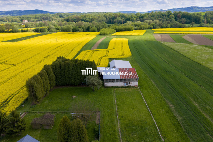 Obiekt Sprzedaż Dobrzechów 18