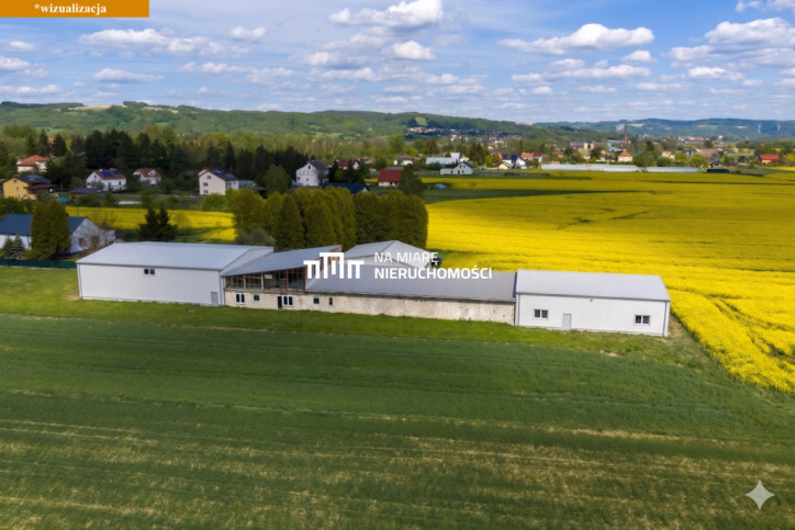 Obiekt Sprzedaż Dobrzechów 1