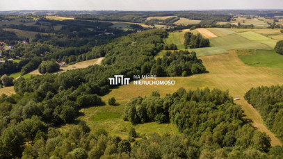 Działka Sprzedaż Wiśniowa