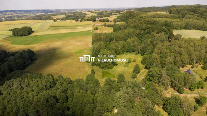 Działka Sprzedaż Wiśniowa