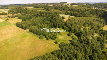 Działka Sprzedaż Wiśniowa