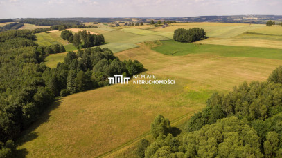 Działka Sprzedaż Wiśniowa