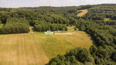 Działka Sprzedaż Wiśniowa