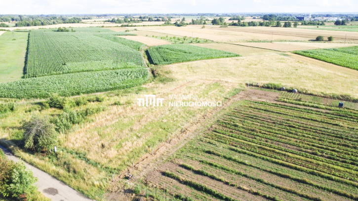 Działka Sprzedaż Surochów 6