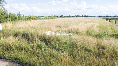 Działka Sprzedaż Surochów