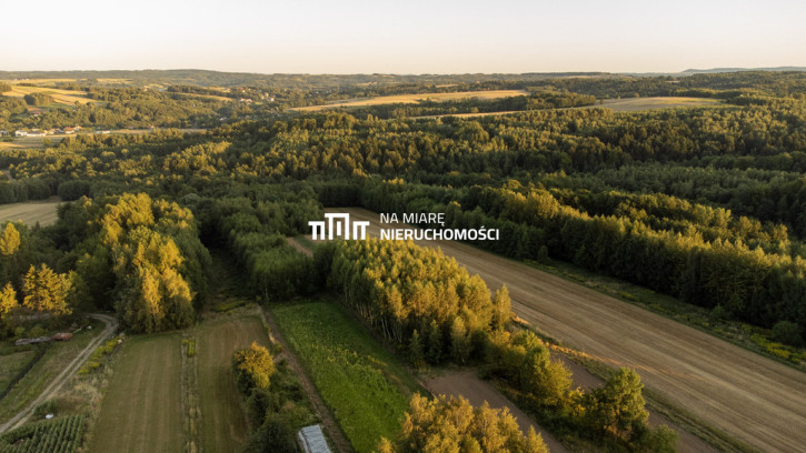 Działka Sprzedaż Ropczyce Leśna 79 4