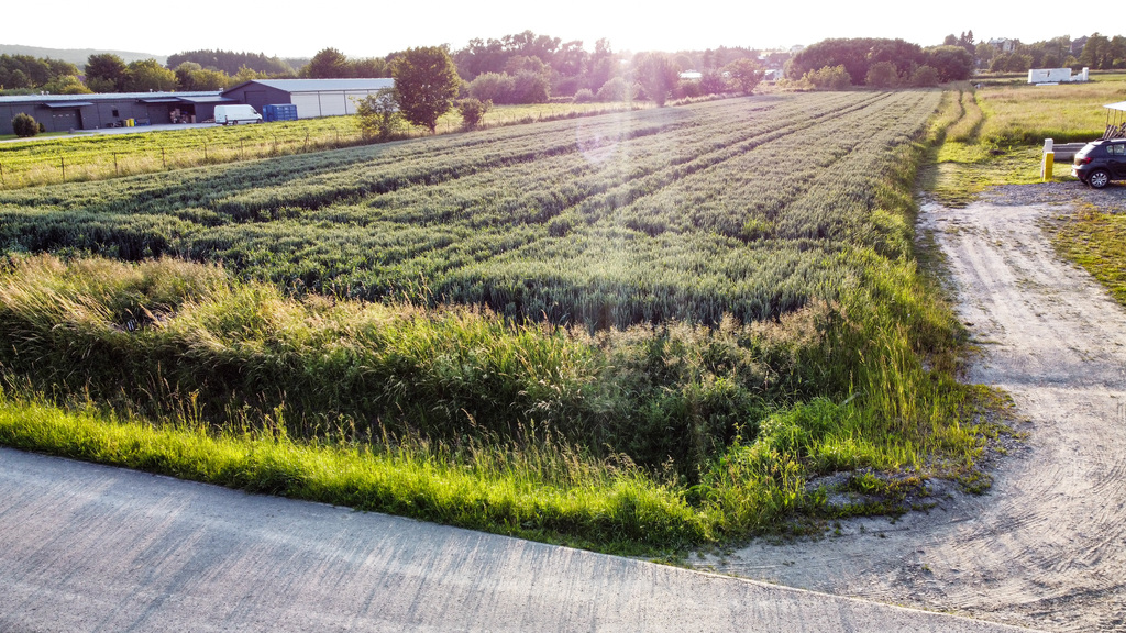 Zielona okolica, cisza i spokój – 6km od Rzeszowa