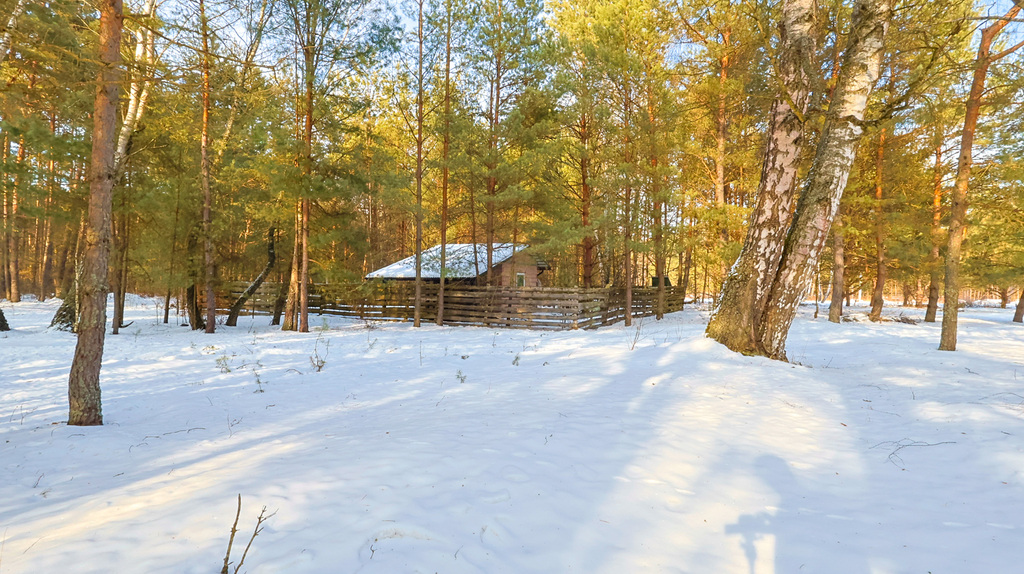1.2Ha | Działka | Domek Letniskowy | Radawa