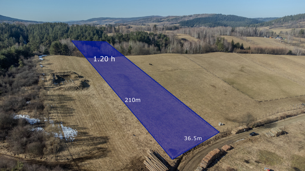 Bieszczady - 1,2 ha siedliskowa | Widokowy stok