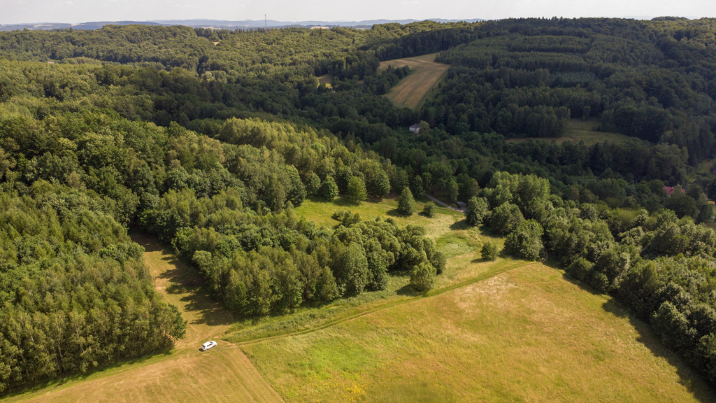 Siedlisko 83a | WZ | 25 km od Rzeszowa