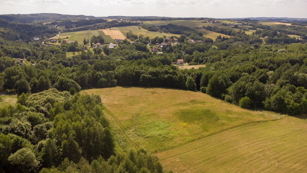 Działka siedliskowa 25,6a | 25 km do Rzeszowa