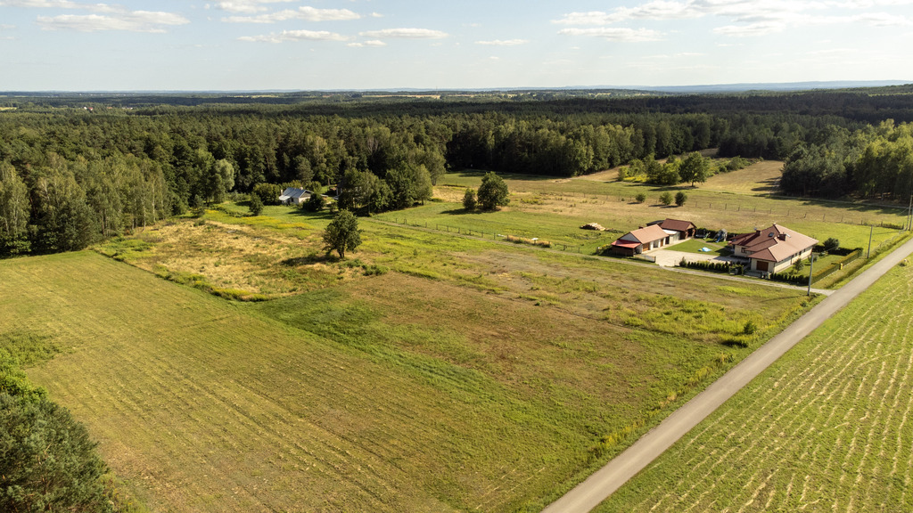 Wszystkie media | Las | Asfalt | WZ | 11,32a