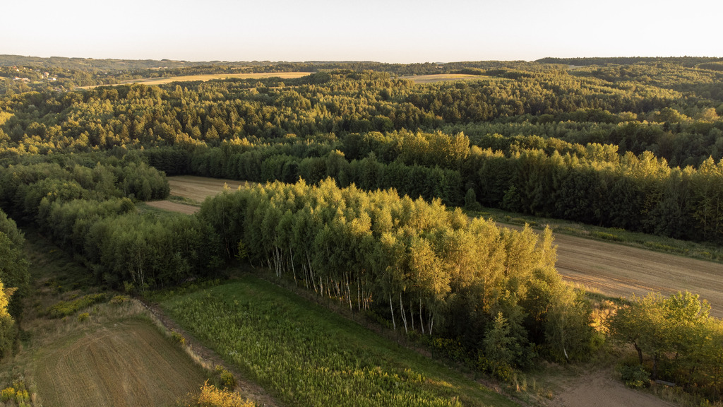 Wyjątkowe miejsce | 11,19a prywatności | WZ